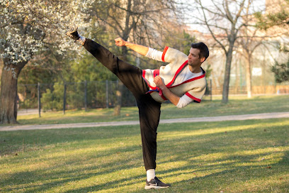 Shaolin kung-fu Praha