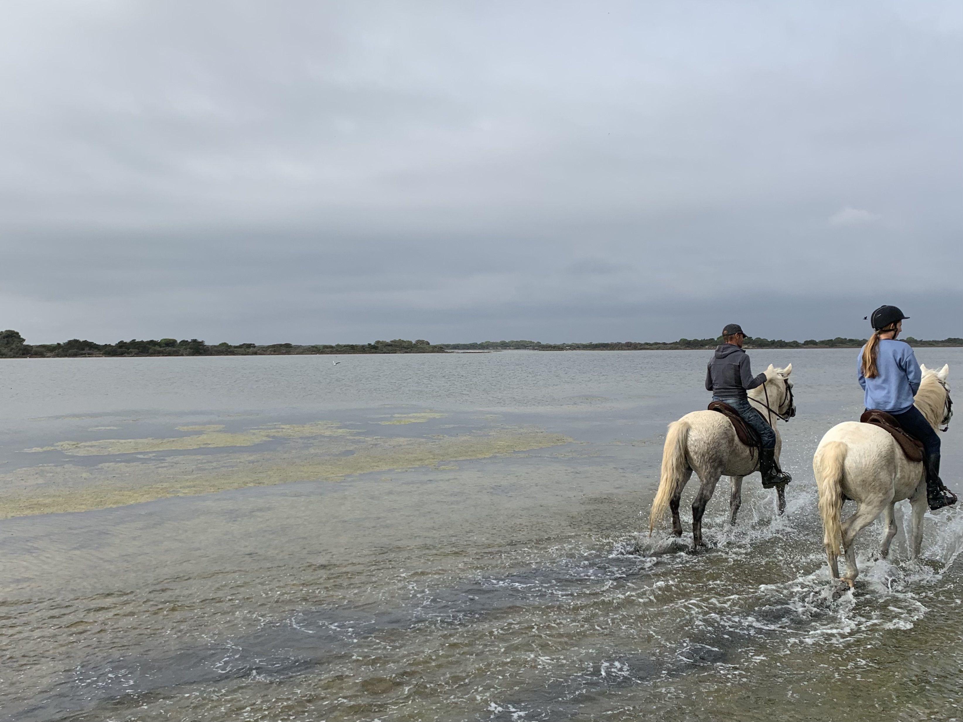 Photo n° 6 de l'avis de Sof.a fait le 26/10/2022 à 16:29