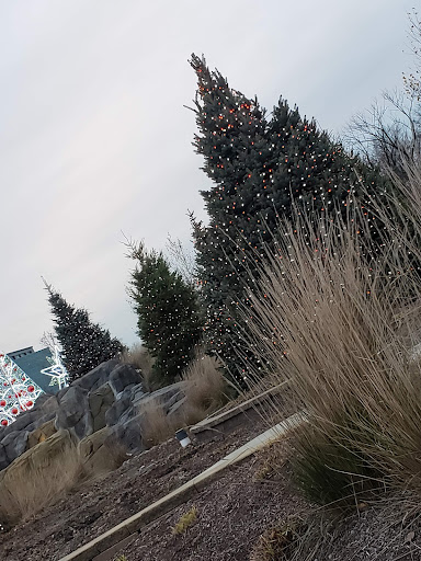 Nature Preserve «Forest Preserves of Cook County», reviews and photos, 9460 S Dee Rd, Park Ridge, IL 60068, USA