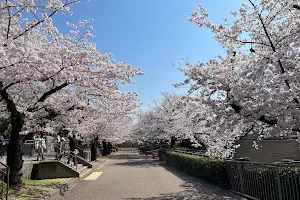 Oji Park image