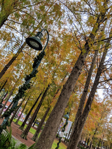 Historical Society «Orange County Regional History Center», reviews and photos, 65 E Central Blvd, Orlando, FL 32801, USA