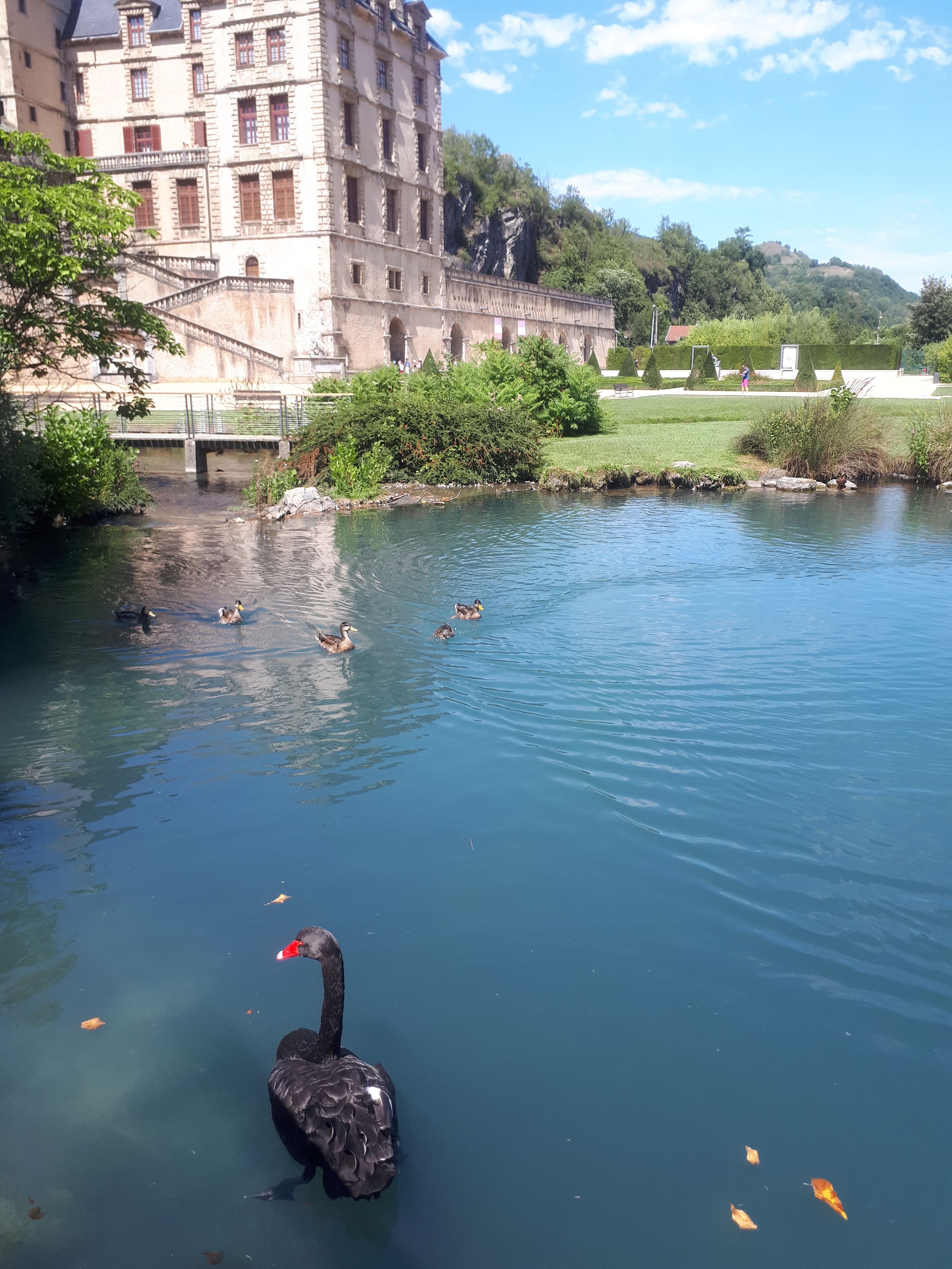 Photo n° 1 de l'avis de Sylvia.r fait le 19/08/2019 à 17:47