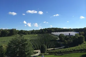 Le Vignoble du Ruisseau - Winery & Cidery image