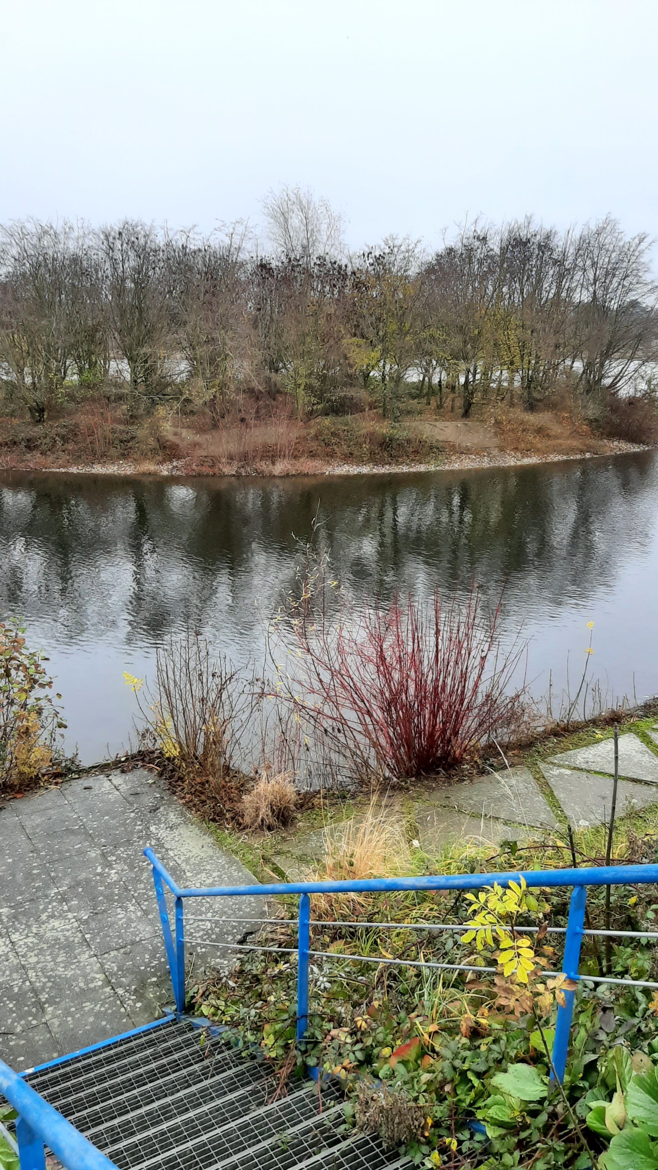 Photo n° 1 de l'avis de Georges.- fait le 08/12/2021 à 12:42