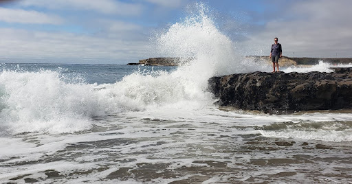 Public Beach «Four Mile Beach», reviews and photos, 3810 Coast Rd, Santa Cruz, CA 95060, USA