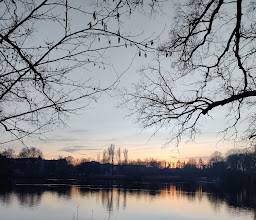 Cafe am See Schäfersee photo