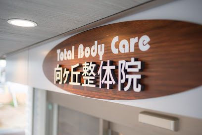 Total Body Care 向ヶ丘整体院