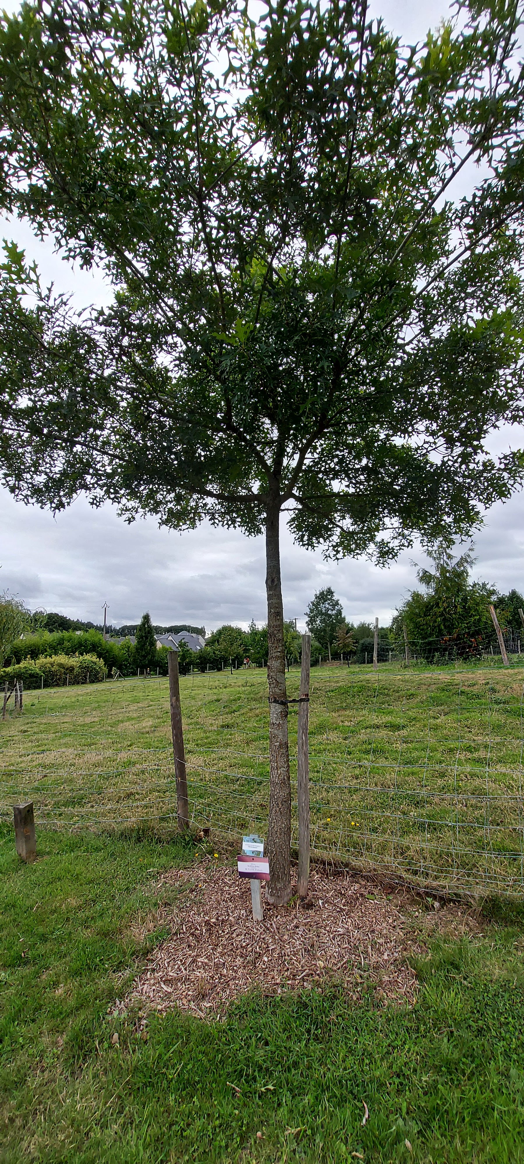 Photo n° 8 de l'avis de Claudette. fait le 30/07/2023 à 16:10