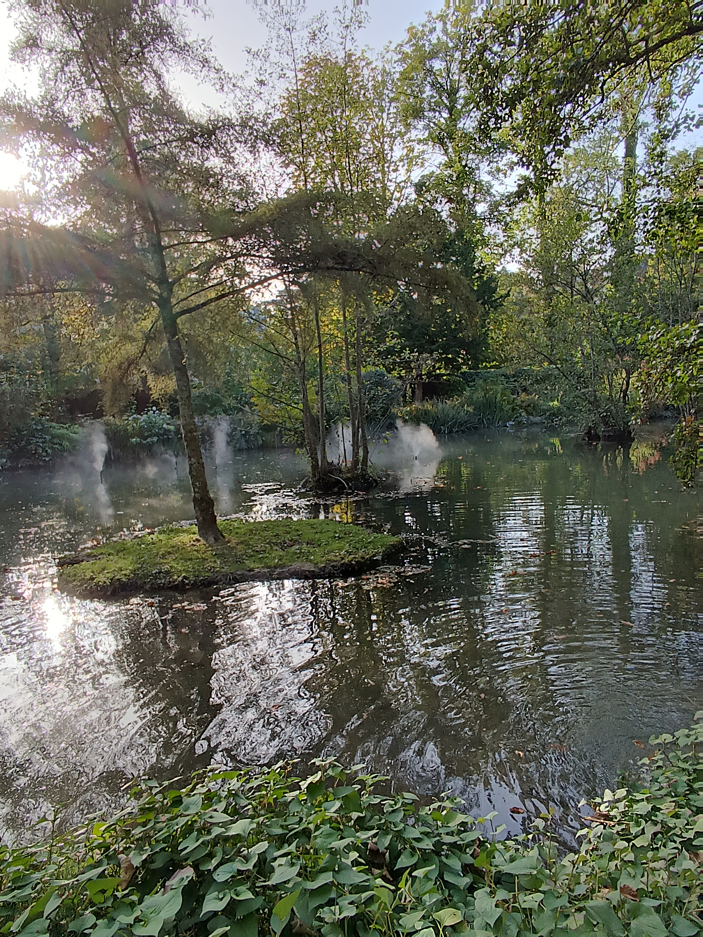 Photo n° 2 de l'avis de gérard.h fait le 09/01/2024 à 14:35