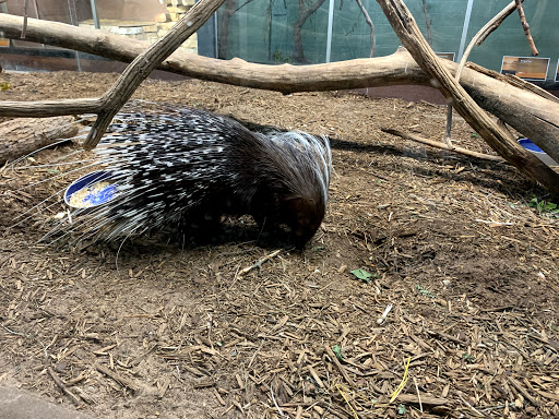 Zoo «Niabi Zoo», reviews and photos, 13010 Niabi Zoo Rd, Coal Valley, IL 61240, USA