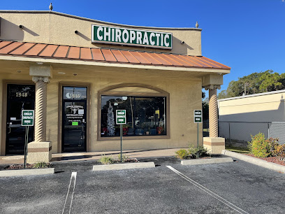 Domzalski Chiropractic - Chiropractor in Venice Florida