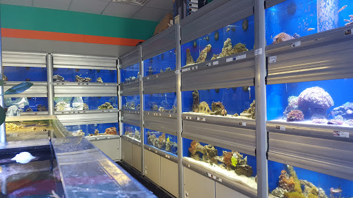 Tropical Fish Store «Midwest Aquarium Services», reviews and photos, 745 45th St S, Fargo, ND 58103, USA