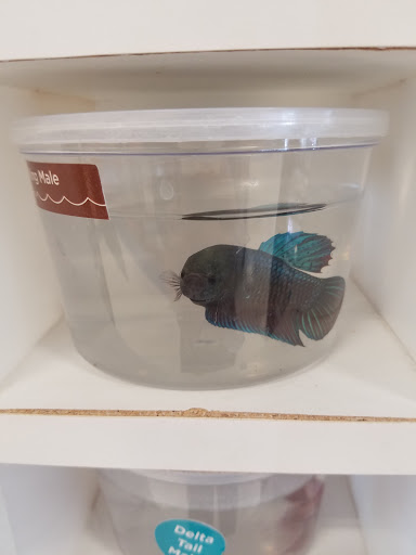 Pet Supply Store «Petco Animal Supplies», reviews and photos, 8644 E 96th St, Fishers, IN 46038, USA