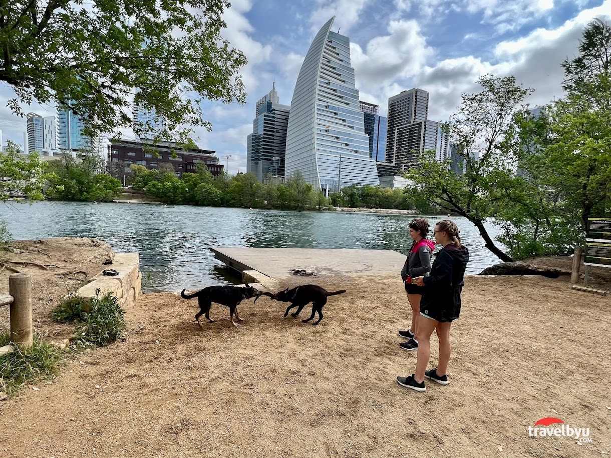 Dog Launch at Vic Mathias Shores