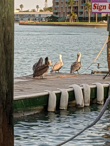 Tourist Attraction «The Pirate Ship Royal Conquest», reviews and photos, 140 Boardwalk Pl E, Madeira Beach, FL 33708, USA