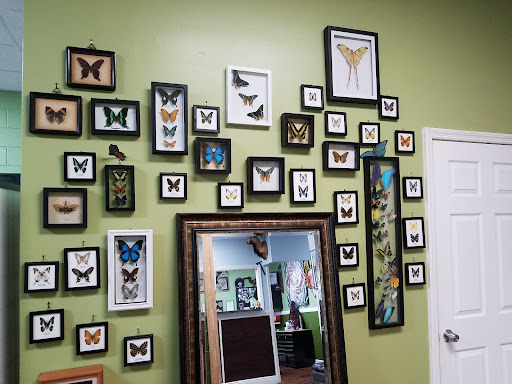 Tattoo Shop «Trinity Tattoo Co Inc», reviews and photos, 193 N US Highway 17-92, Longwood, FL 32750, USA