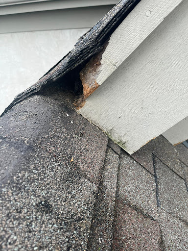 Pest Control Service «Varment Guard Environmental Services Inc.», reviews and photos