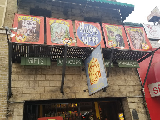 Gift Shop «Lucky Lizard Curios & Gifts», reviews and photos, 412 E 6th St, Austin, TX 78701, USA