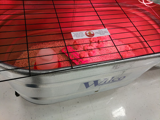 Animal Feed Store «Wilco Farm Store», reviews and photos, 1905 NE Four Acre Pl, Corvallis, OR 97330, USA