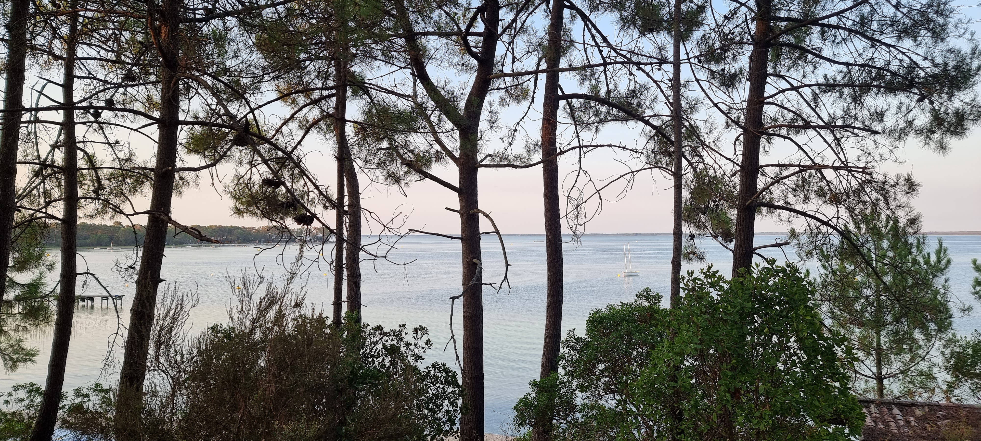 Photo n° 2 de l'avis de Arnaud.� fait le 12/08/2022 à 18:37