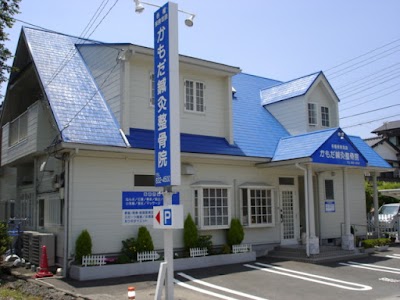 かもだ鍼灸整骨院