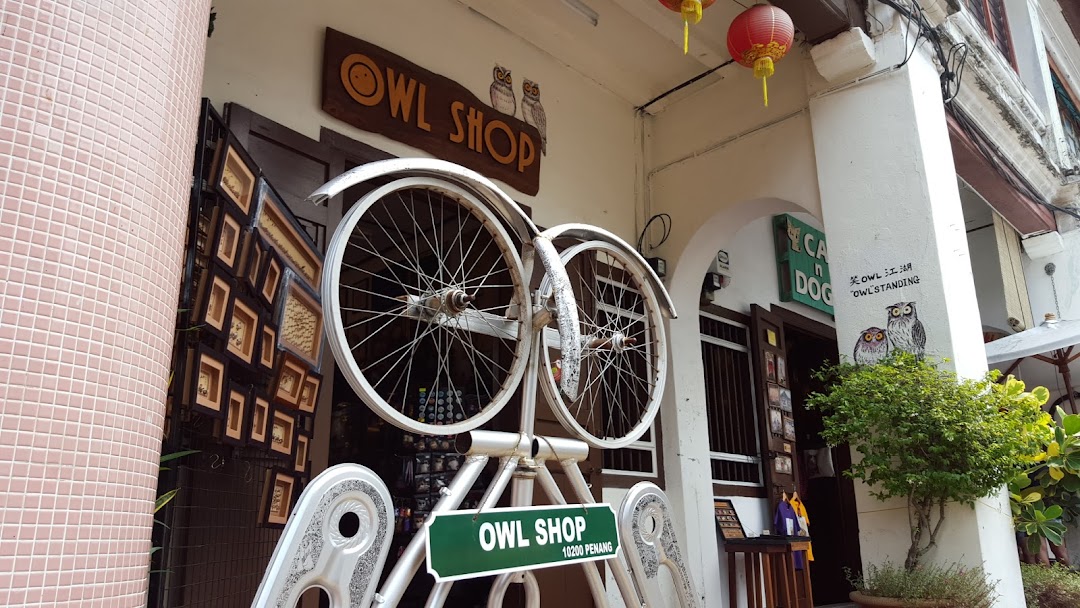 Owl Shop