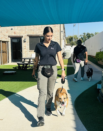 All Dogs Unleashed Dog Training - Dog trainer Fort Worth, Texas