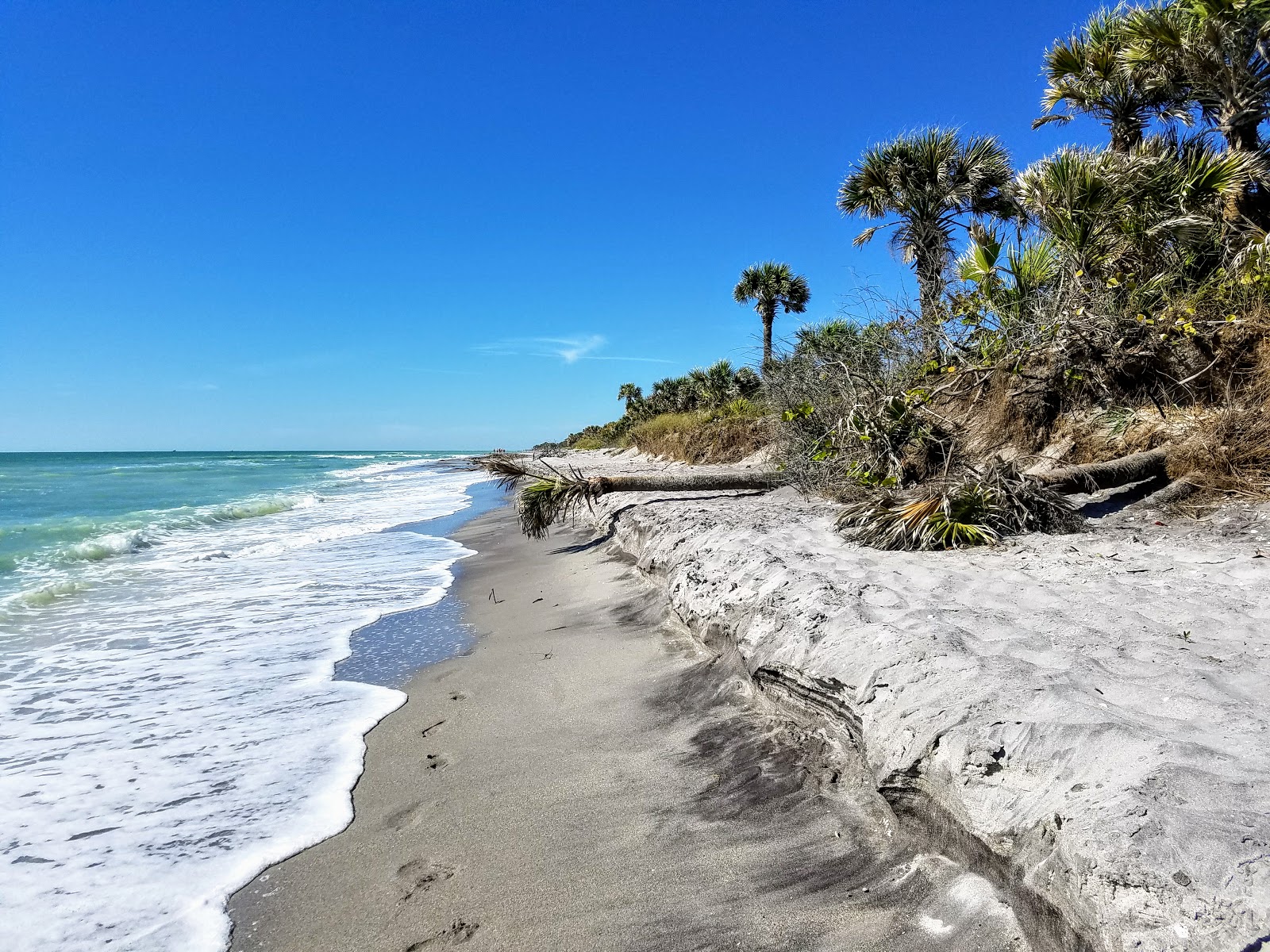 Caspersen beach photo #6