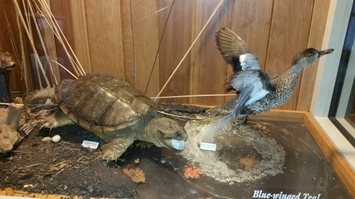 Nature Preserve «Wolf Creek Environmental Center», reviews and photos, 6100 Ridge Rd, Wadsworth, OH 44281, USA