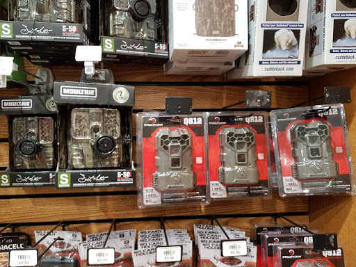 Shopping Mall «Green Mountain Shopping Plaza Shopping Center», reviews and photos, 241 S Main St, Rutland, VT 05701, USA