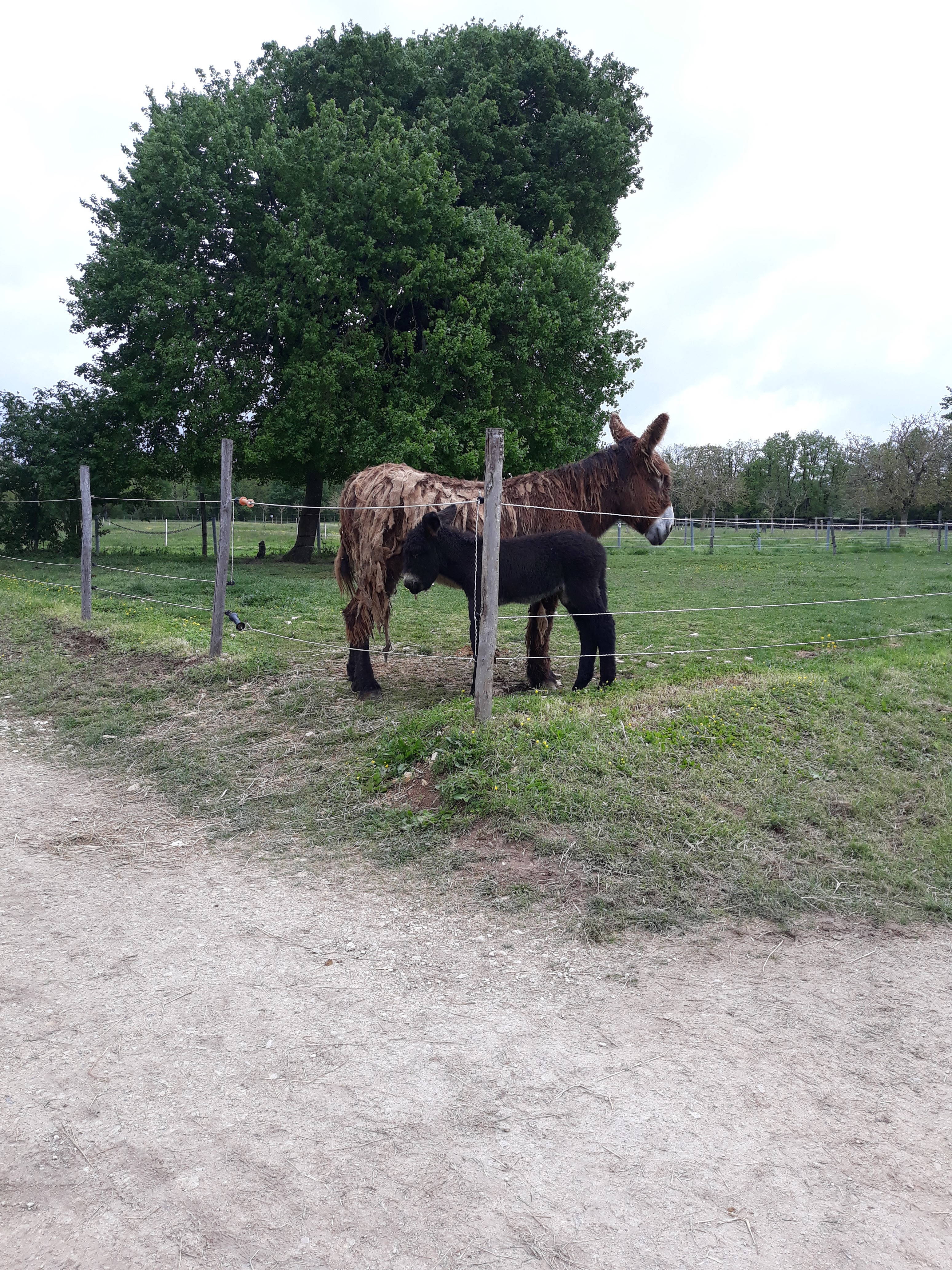Photo n° 10 de l'avis de Nathalie.i fait le 28/04/2019 à 10:40