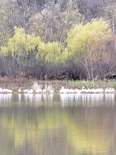 Nature Preserve «McDonald Woods Forest Preserve», reviews and photos, 19611 W Grass Lake Rd, Lake Villa, IL 60046, USA