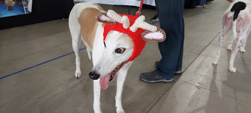 Sports Complex «All Star Family Fun & Events», reviews and photos, 2638 Emmitsburg Rd, Gettysburg, PA 17325, USA