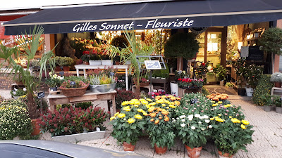 Gilles Sonnet à Fontaine-lès-Dijon
