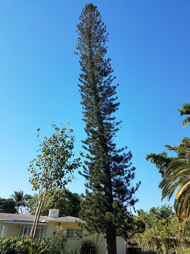 Park «Griffing Park», reviews and photos, 12220 Griffing Blvd, North Miami, FL 33161, USA