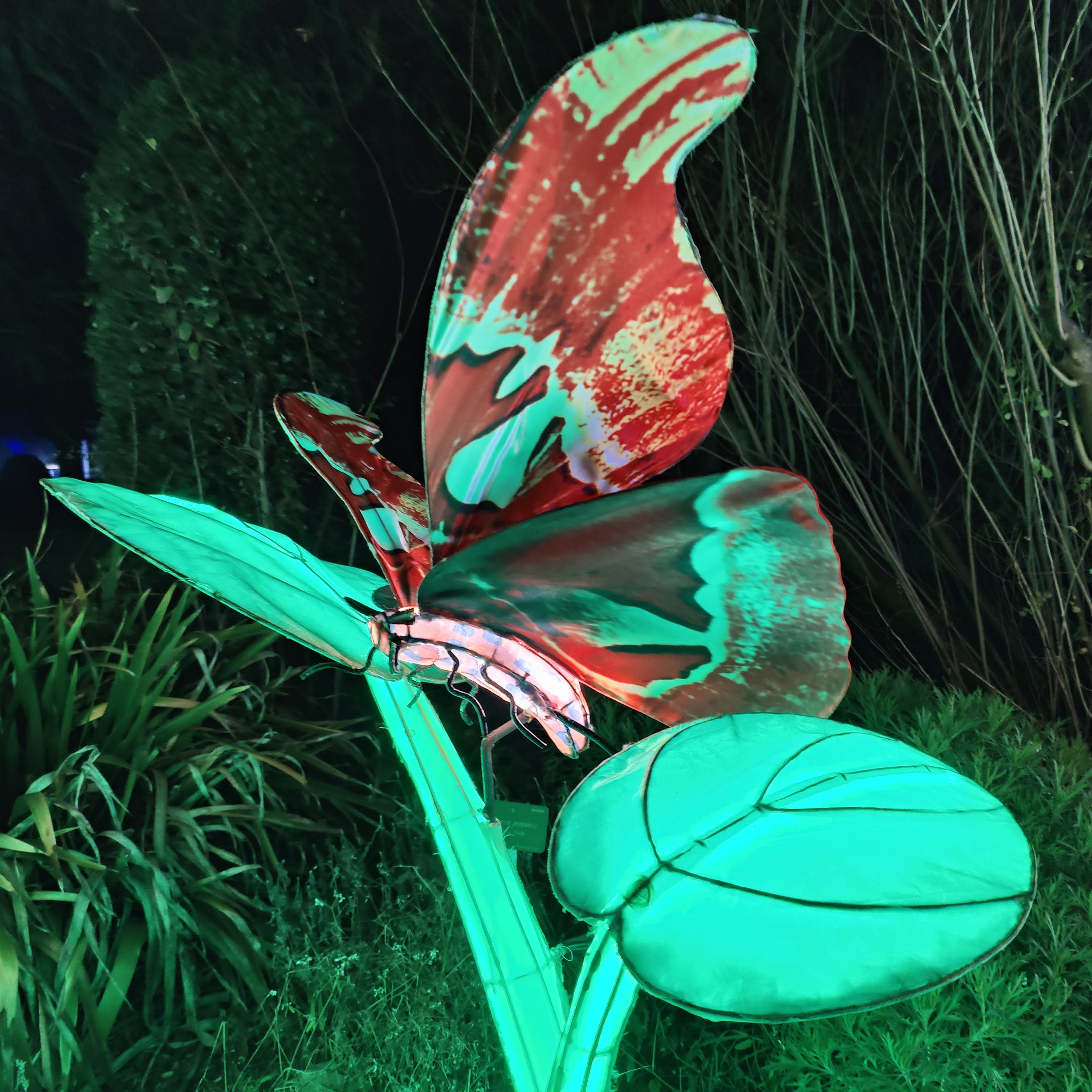 Photo n° 50 de l'avis de Mathieu.H fait le 31/12/2018 à 20:46