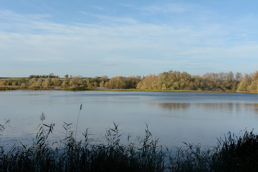 Linford Lakes Nature Reserve - Permit only site