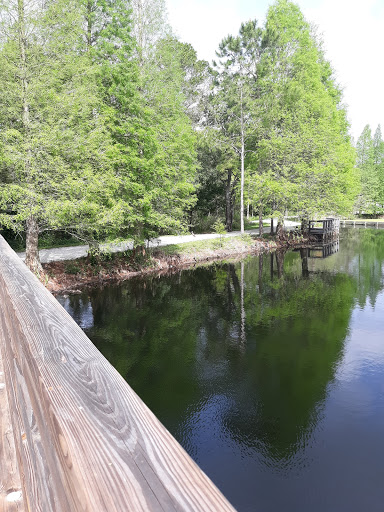 Park «Moccasin Lake Nature Park», reviews and photos, 2750 Park Trail Ln, Clearwater, FL 33759, USA