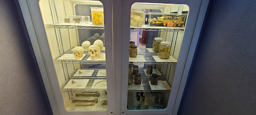 Science Museum «Adventure Science Center», reviews and photos, 800 Fort Negley Blvd, Nashville, TN 37203, USA