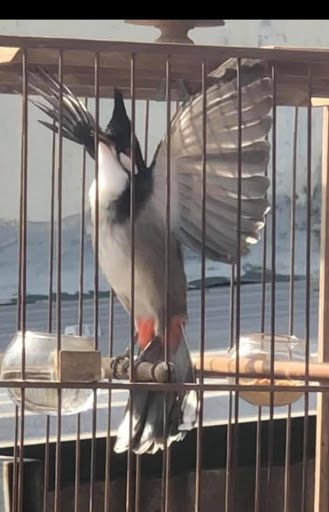 Top 20 cửa hàng chén đĩa Huyện Hóc Môn Hồ Chí Minh 2022