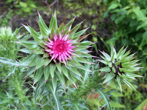 Nature Preserve «Eidolon Nature Preserve», reviews and photos, 2146 Orleans Rd, Great Cacapon, WV 25422, USA