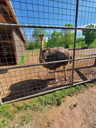 Park «Lake Tobias Wildlife Park», reviews and photos, 760 Tobias Road, Halifax, PA 17032, USA