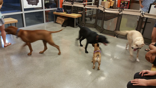 Pet Supply Store «Unleashed by Petco», reviews and photos, 1572 Foothill Blvd, La Verne, CA 91750, USA