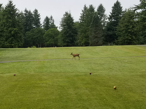 Golf Course «Eagles Pride Golf Course», reviews and photos, 116 I-5, Tacoma, WA 98433, USA