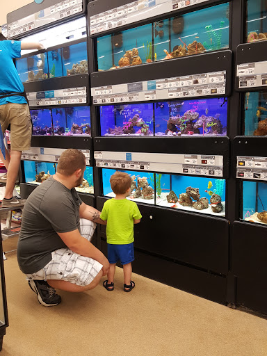 Pet Supply Store «Petco Animal Supplies», reviews and photos, 5239 Harvey St, Norton Shores, MI 49444, USA