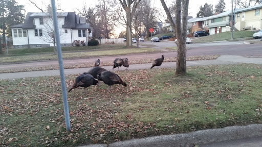 Park «Deming Heights Park», reviews and photos, 1115 St Anthony Pkwy, Minneapolis, MN 55418, USA