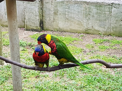 Taman Burung Kuala Lumpur