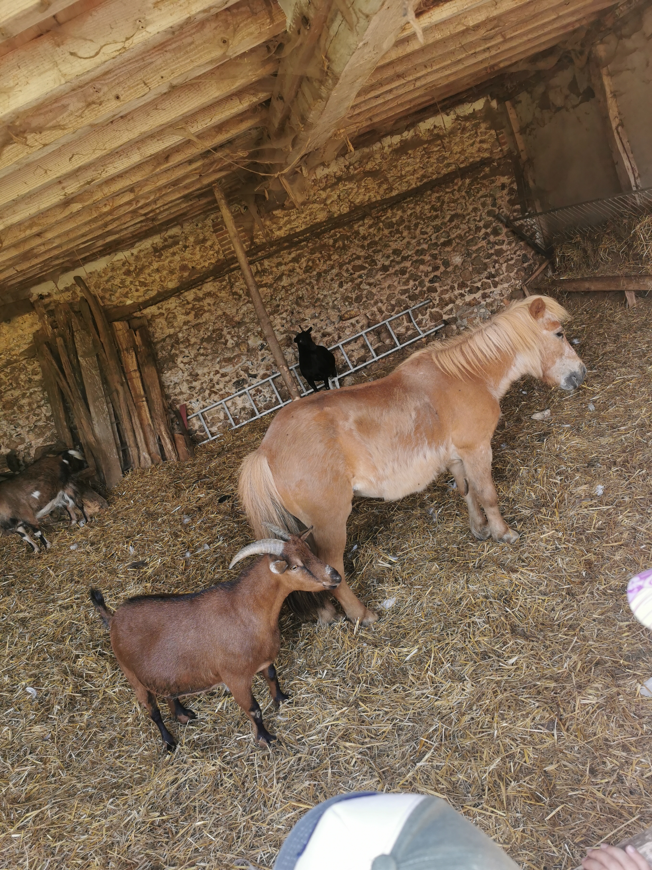 Photo n° 2 de l'avis de Virginie.E fait le 23/06/2023 à 15:51