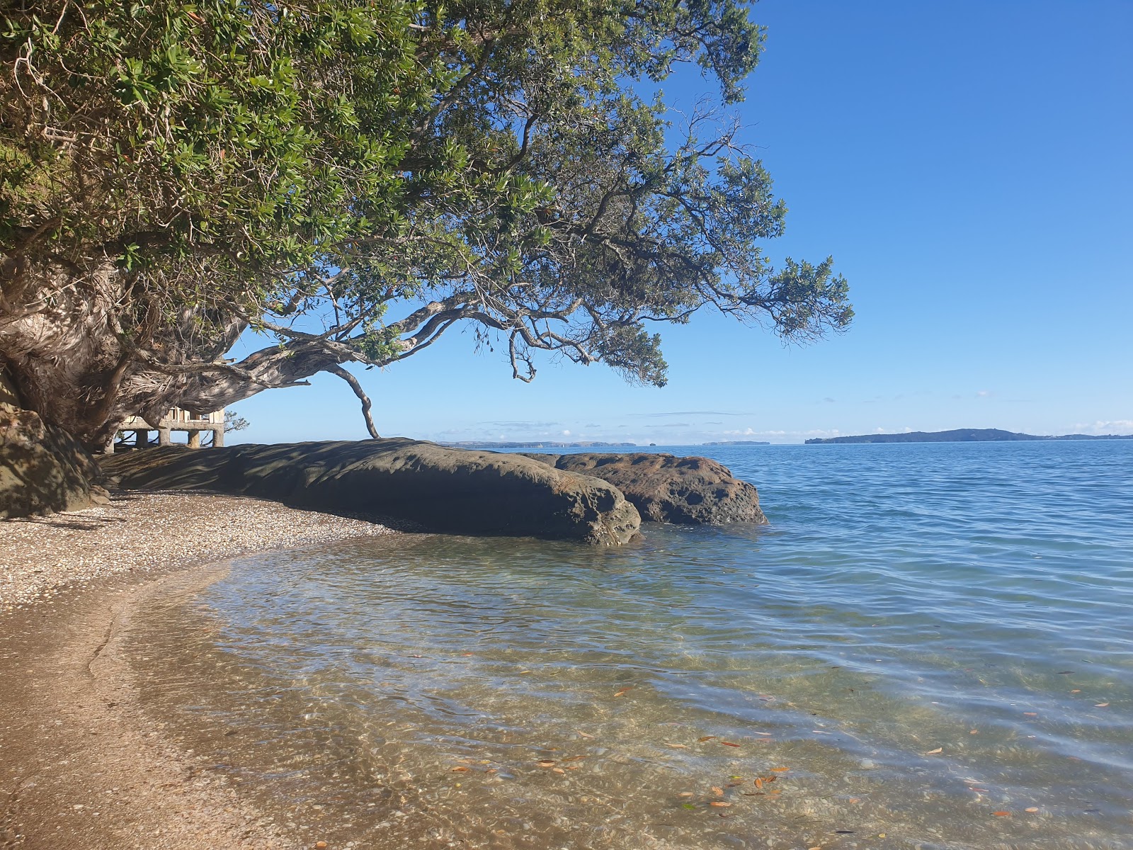 Shelly Reserve Beach的照片 带有碧绿色纯水表面