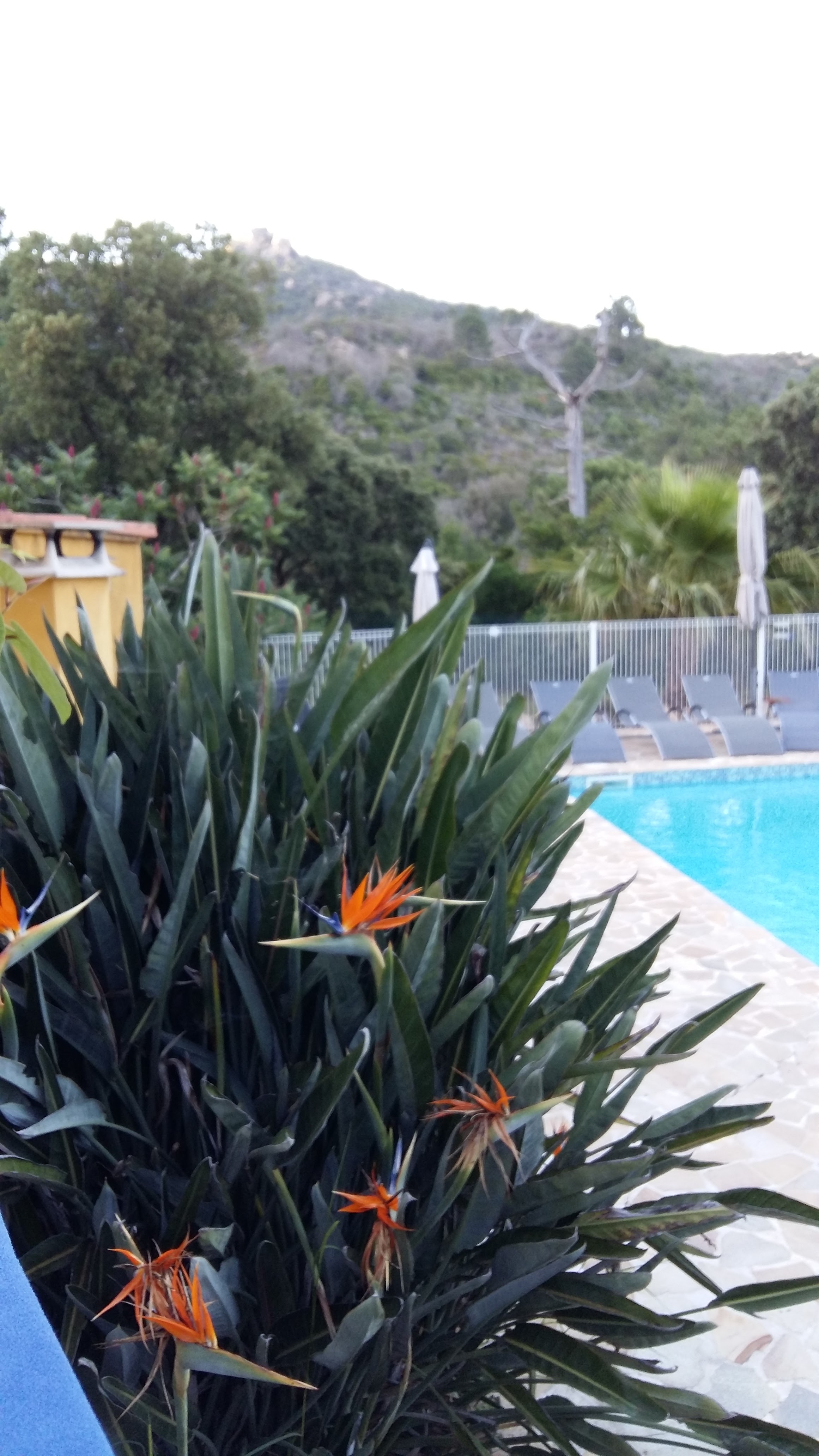 Photo n° 2 de l'avis de Nicolas.u fait le 11/06/2018 à 06:30